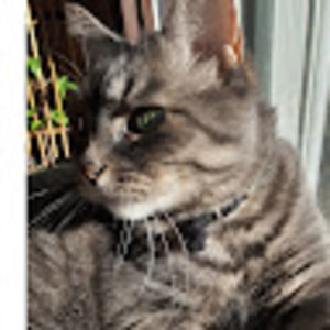 Meet your Posher, Sophie